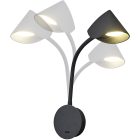 MANTRA GOA TEK wall lamp 