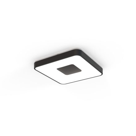 MANTRA COIN Decorative Indoor Ceiling Lamp LED 80W 2700K-5000K Remote Control