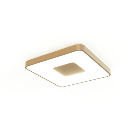 MANTRA COIN Decorative Indoor Ceiling Lamp LED 100W 2700K-5000K Remote Control