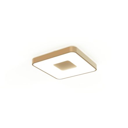 MANTRA COIN Decorative Indoor Ceiling Lamp LED 80W 2700K-5000K Remote Control