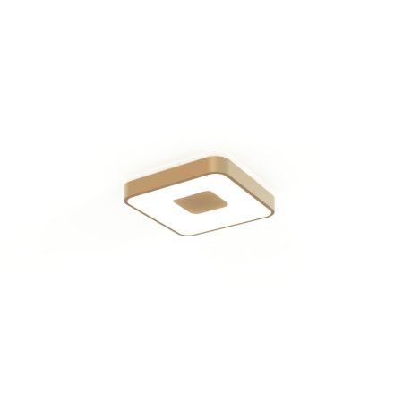 MANTRA COIN Decorative Indoor Ceiling Lamp LED 56W 2700K-5000K Remote Control