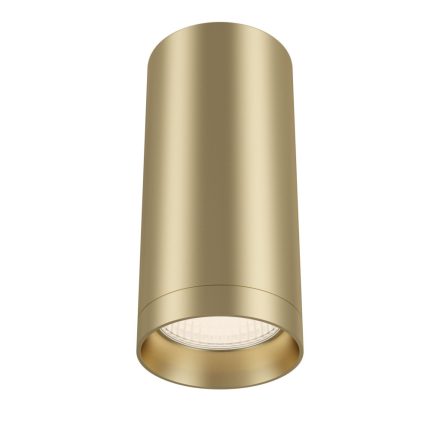 Technical Ceiling Focus Ceiling lamp C010CL-01MG