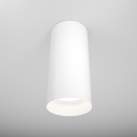 Technical Ceiling Focus Ceiling lamp C010CL-01W