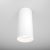 Technical Ceiling Focus Ceiling lamp C010CL-01W