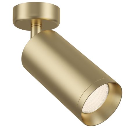 Technical Ceiling Focus Ceiling lamp C017CW-01MG