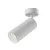 Technical Ceiling Focus Ceiling lamp C017CW-01W
