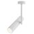 Technical Ceiling Elti Ceiling lamp C020CL-01W