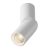 Technical Ceiling Dafne Ceiling lamp C027CL-L10W