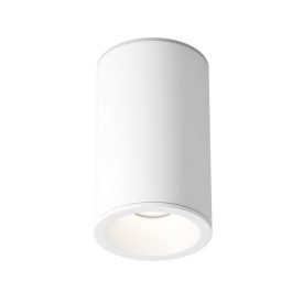 Technical Ceiling Zoom Ceiling lamp C029CL-01-S-W