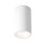 Technical Ceiling Zoom Ceiling lamp C029CL-01-S-W