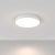 Technical Ceiling Zon Ceiling lamp C032CL-L48W4K