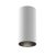 Technical Ceiling Artisan Ceiling lamp C080CL-01-GU10-W