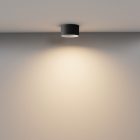 Technical Ceiling Vega Ceiling lamp C089CL-12W3K-B