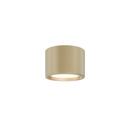Technical Ceiling Hydra Ceiling lamp C090CL-10W3K-MG