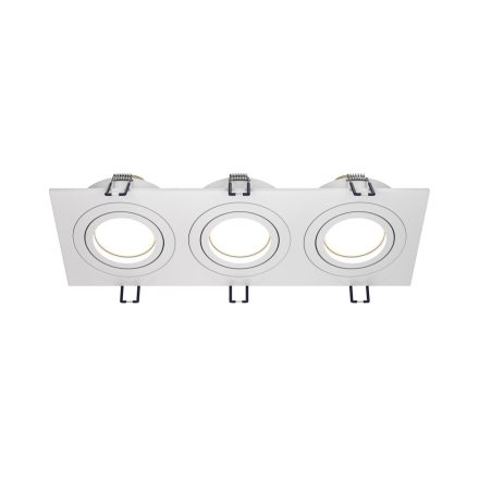 Technical Downlight Atom Downlight DL024-2-03W