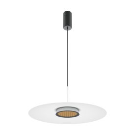 Maytoni Modern El Pendant lamp MOD041PL-L15W3K1