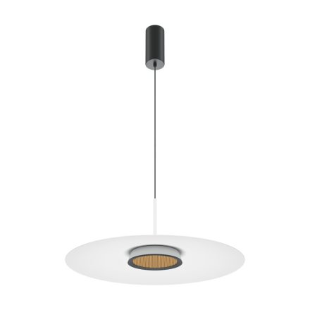 Maytoni Modern El Pendant lamp MOD041PL-L15W3K1