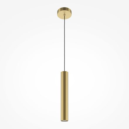 Maytoni Modern Pro Focus Pendant lamp MOD161PL-01G1