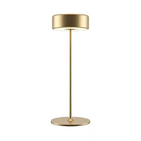 Maytoni Modern AI Collaboration Battery lamp MOD229TL-L3G3K2