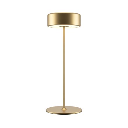 Maytoni Modern AI Collaboration Battery lamp MOD229TL-L3G3K2
