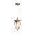 Outdoor Outdoor  Fleur Pendant lamp O414PL-01GB