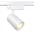 Technical Three phase track system Trinity Vuoro Track Lighting TR029-3-20W4K-W