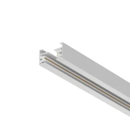 Surface-mounted/suspended busbar for track lights