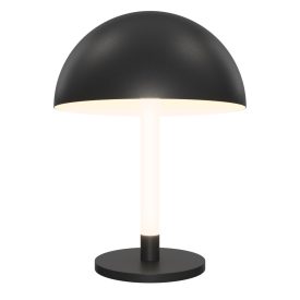 Maytoni Table & Floor Ray Table lamp Z012TL-L8B3K