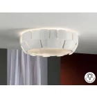  Schuller Quios 124011 Ceiling Lamp