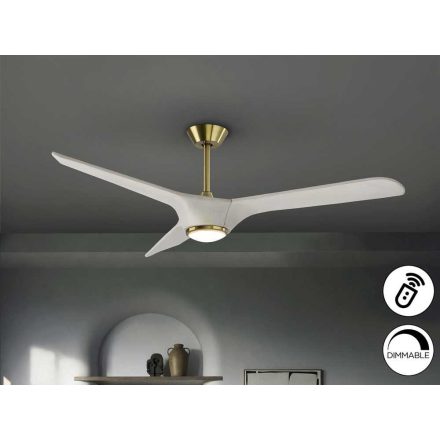 ALISIOS- FAN, WHITE/BRONZE, D152