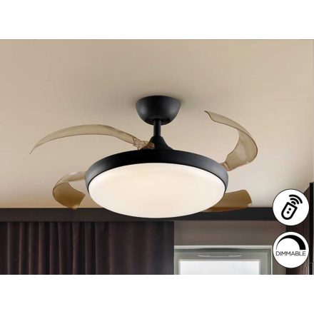 VENTURI - BLACK FAN