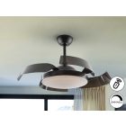 SCHULLER Enzo 196536D Ceiling Fan Dimmable