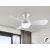  Schuller Vito 218047 Ceiling Fan