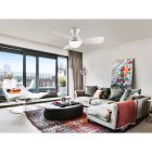  Schuller Vito 218047 Ceiling Fan