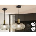  Schuller Norma 225410 Single Pendant Lamp