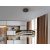  Schuller Selene 294720 LED Pendant Lamp