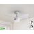 TROPIC WHITE FAN