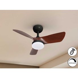 TROPIC BLACK/WALNUT FAN