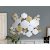  Schuller Nadia 521192 Mirror