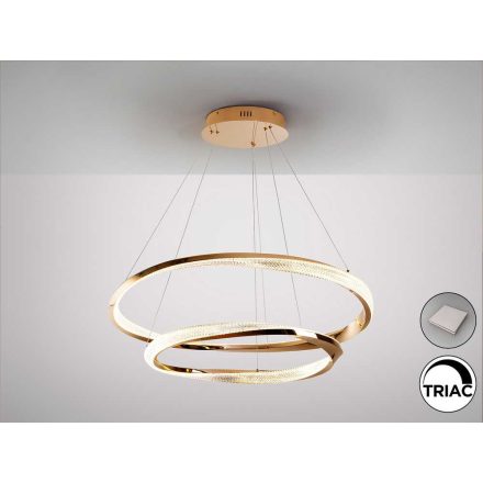 ORBITAS - GOLD LAMP 2 RINGS