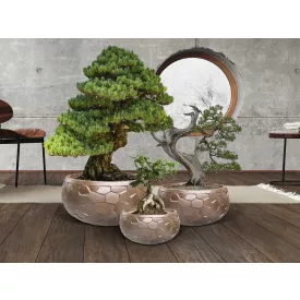 CANELA- SET 3 PLANTERS- BRONZE