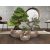 CANELA- SET 3 PLANTERS- BRONZE