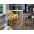 -FUTURE HORSE- HORSE FIGURE, GOLD
