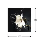  Schuller Splash 719360 Decoration