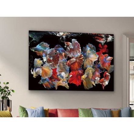 ·PECES SIAM· PHOTO, 150x100