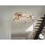  schuller colette 786430 Ceiling Lamp Rose Gold