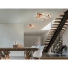  schuller colette 786430 Ceiling Lamp Rose Gold