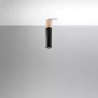 Ceiling lamp PABLO black
