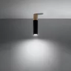 Ceiling lamp PABLO black