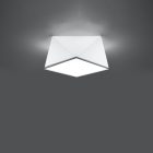 Ceiling lamp HEXA 25 white